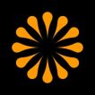 catalyst content logo